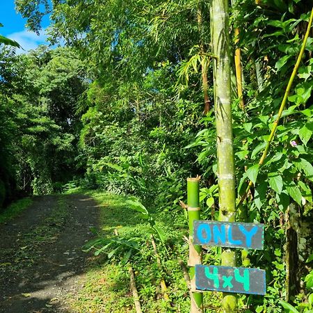 Vulkan Arenal Amazing View Lodge 4 Wd El Castillo Eksteriør bilde