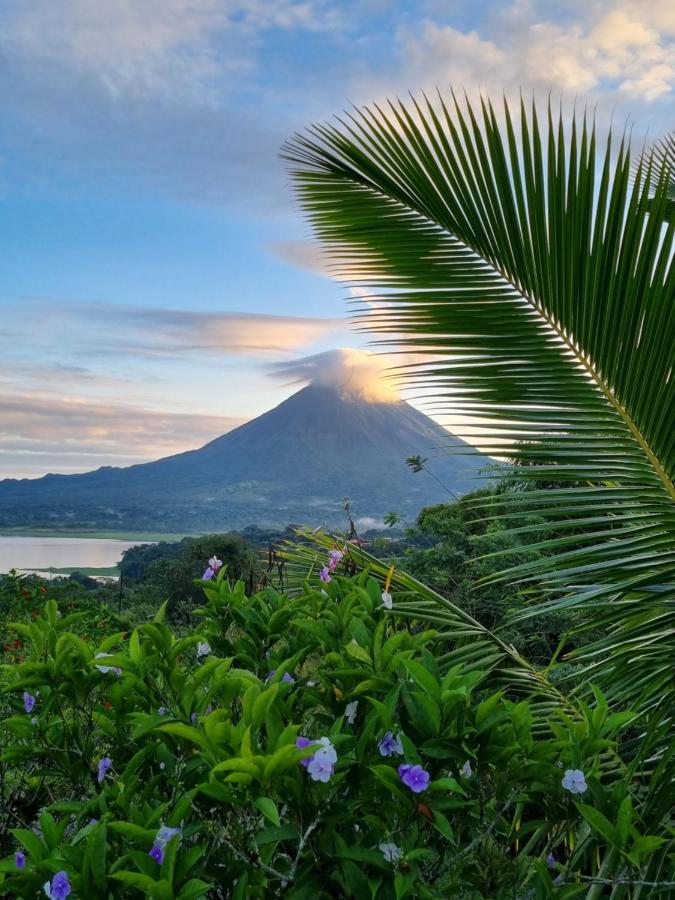 Vulkan Arenal Amazing View Lodge 4 Wd El Castillo Eksteriør bilde