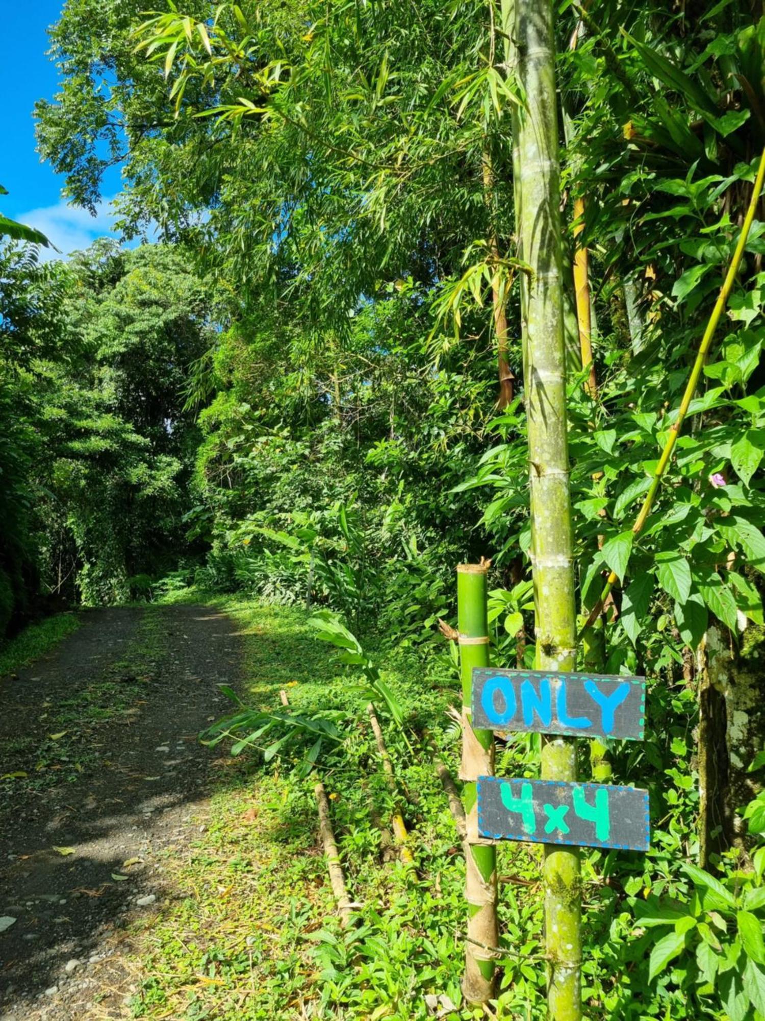 Vulkan Arenal Amazing View Lodge 4 Wd El Castillo Eksteriør bilde