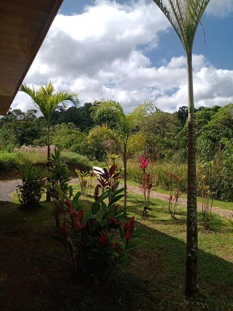 Vulkan Arenal Amazing View Lodge 4 Wd El Castillo Eksteriør bilde